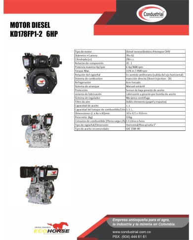 Motor DIESEL ECOHORSE KD178FP1-2