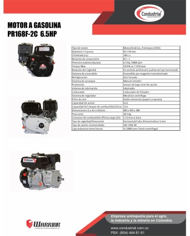Motor WARRIOR GASOLINA ZS168FB-6