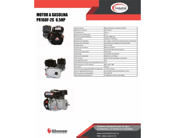MOTOR A GASOLINA  - 6.5HP - WARRIOR - PR168F-2C