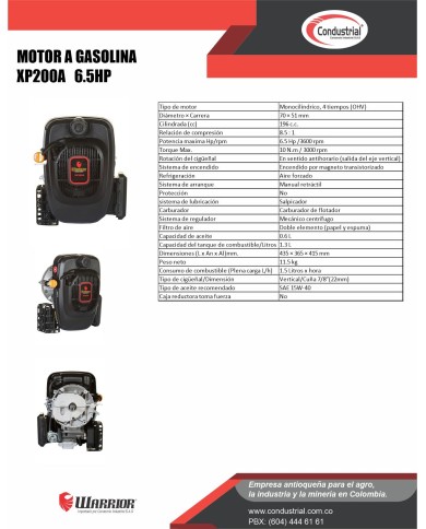 Motor WARRIOR GASOLINA XP200