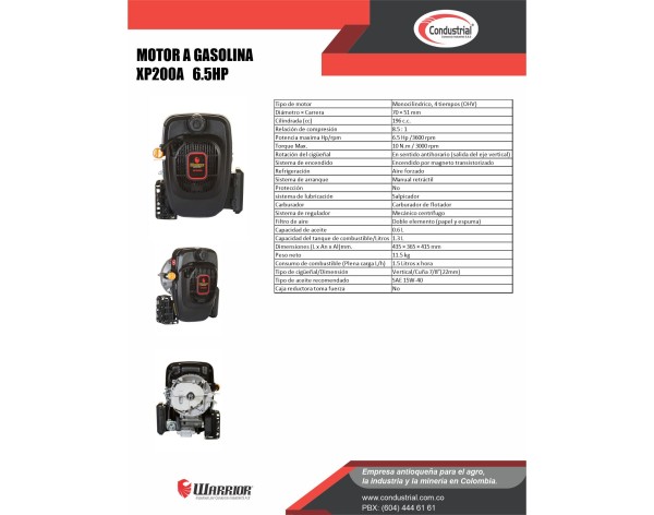 Motor WARRIOR GASOLINA XP200