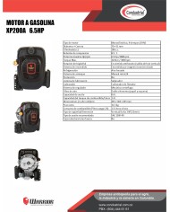 Motor WARRIOR GASOLINA XP200