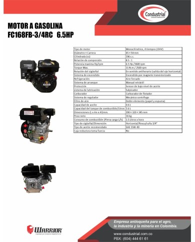 Motor WARRIOR GASOLINA ZS168FB-3/4