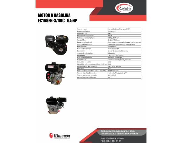 Motor WARRIOR GASOLINA ZS168FB-3/4