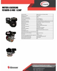 Motor WARRIOR GASOLINA ZS168FB-3/4