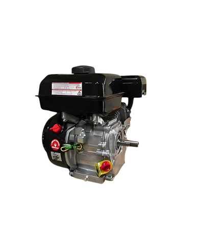 Motor WARRIOR GASOLINA ZS168FB-3/4