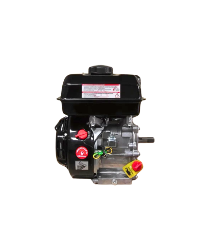 Motor WARRIOR GASOLINA ZS168FB-3/4