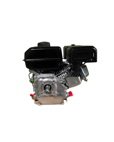 Motor WARRIOR GASOLINA ZS168FB-3/4