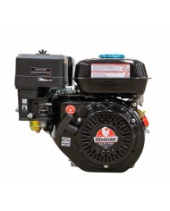 Motor WARRIOR GASOLINA ZS168FB-6