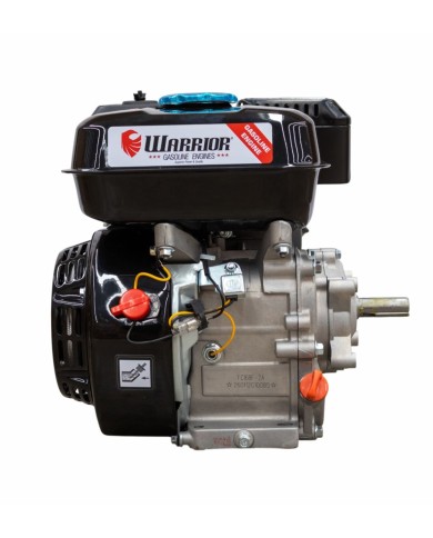 Motor WARRIOR GASOLINA ZS168FB-6