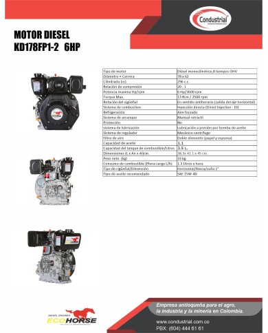 Motor DIESEL ECOHORSE KD178FP1-2