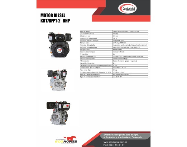 Motor DIESEL ECOHORSE KD178FP1-2