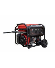 PLANTA ELECTRICA A GASOLINA WARRIOR GF15600E-R2