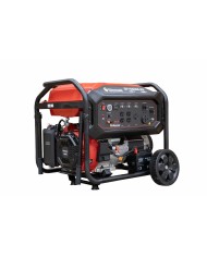 PLANTA ELECTRICA A GASOLINA WARRIOR GF15600E-R2