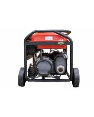 PLANTA ELECTRICA A GASOLINA WARRIOR GF15600E-R2