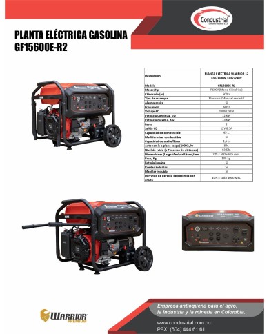 PLANTA ELECTRICA A GASOLINA WARRIOR GF15600E-R2