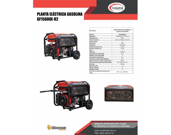PLANTA ELECTRICA A GASOLINA WARRIOR GF15600E-R2