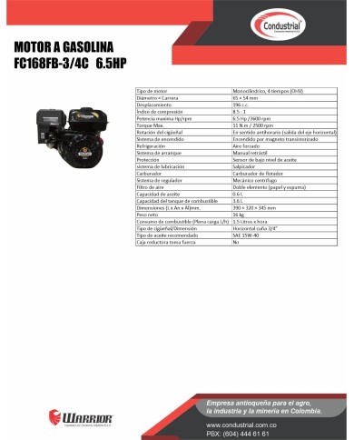 Motor WARRIOR GASOLINA ZS168FB-3/4