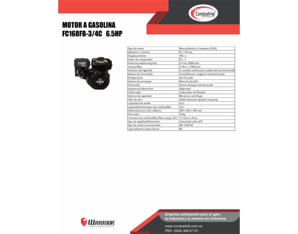 Motor WARRIOR GASOLINA ZS168FB-3/4