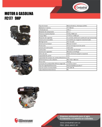 MOTOR A GASOLINA  - 9HP - WARRIOR - FC177F