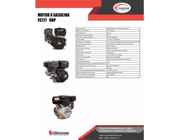 MOTOR A GASOLINA  - 9HP - WARRIOR - FC177F